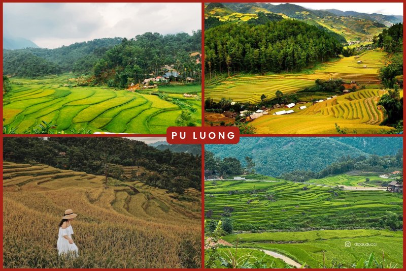 Los campos en terrazas de Pu Luong